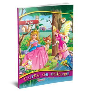 Carte A4 de colorat fete