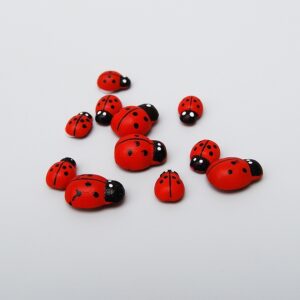 Buburuze autoadezive 9*13 mm, 100 buc/set in cutie lemn