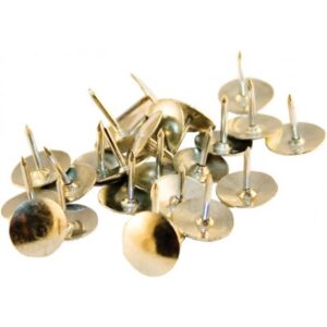 Pioneze argintii Memoris