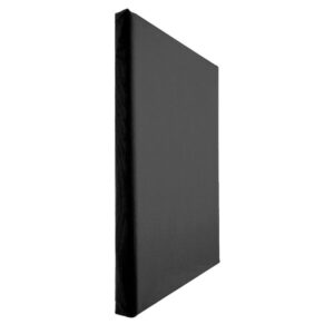 panza pictura neagra